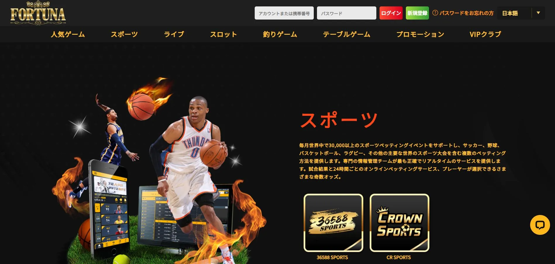 プロモーション プロモーション